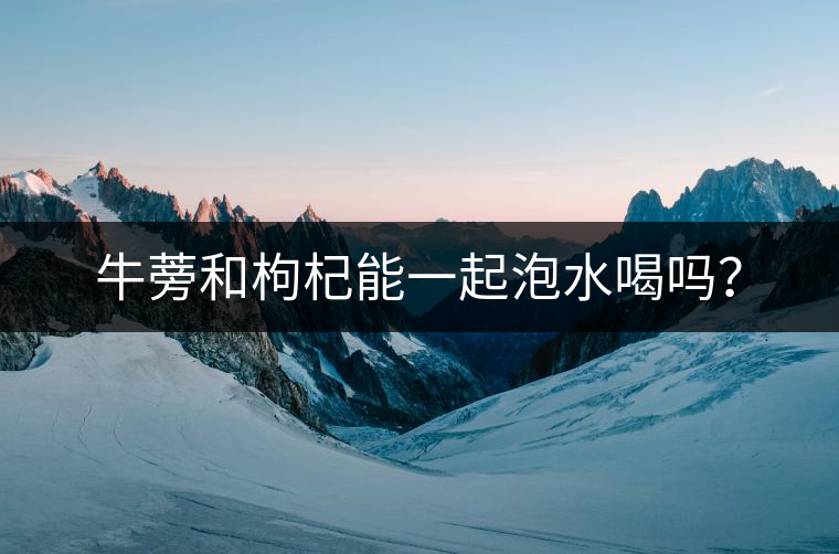 牛蒡和枸杞能一起泡水喝嗎？