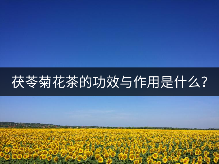 茯苓菊花茶的功效與作用是什么？