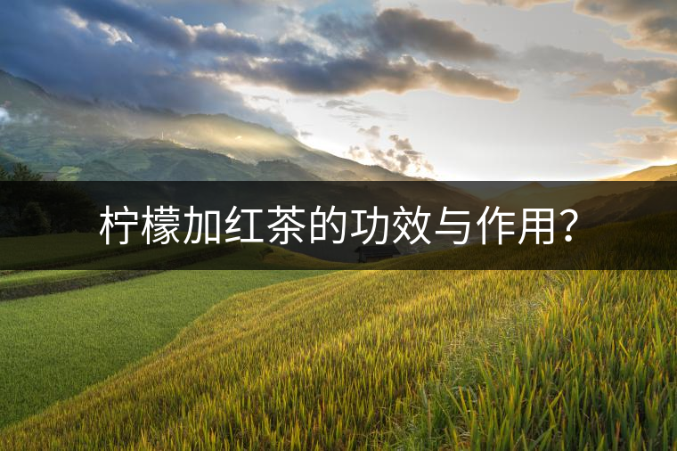 檸檬加紅茶的功效與作用？