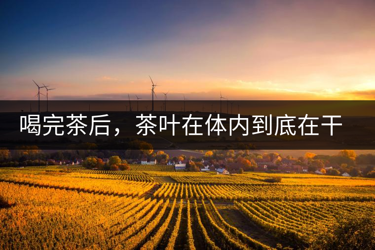 喝完茶后，茶葉在體內(nèi)到底在干嘛，游走的茶水