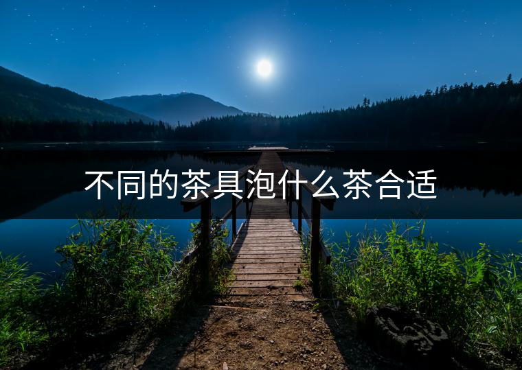 不同的茶具泡什么茶合適 不同的茶具泡什么茶合適