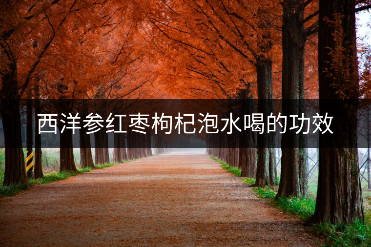 西洋參紅棗枸杞泡水喝的功效 西洋參紅棗枸杞泡水喝的功效