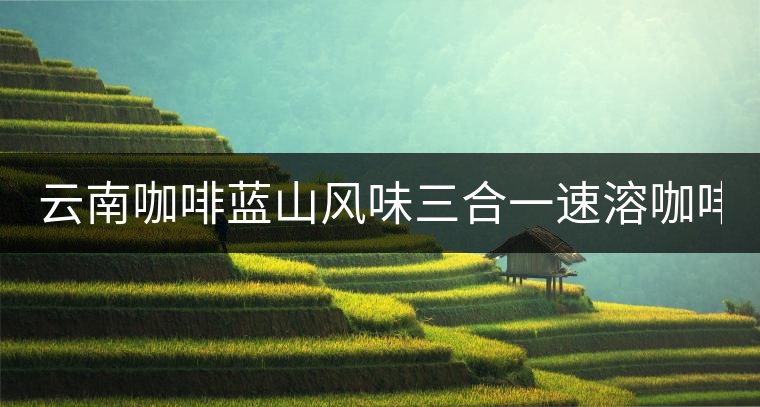 云南咖啡藍(lán)山風(fēng)味三合一速溶咖啡粉袋裝 黑咖啡 提神學(xué)生40條普洱 云南咖啡藍(lán)山風(fēng)味三合一速溶咖啡粉袋裝 黑咖啡 提神學(xué)生40條普洱