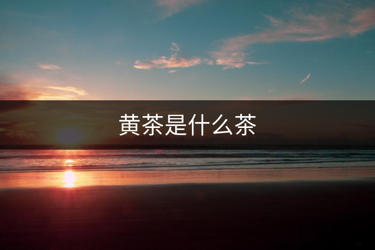 黃茶是什么茶