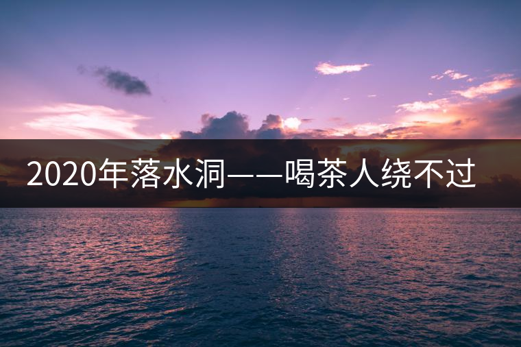 2020年落水洞——喝茶人繞不過的溫柔鄉(xiāng)！-易武中聘號