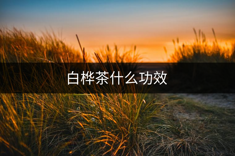 白樺茶什么功效 白樺茶什么功效