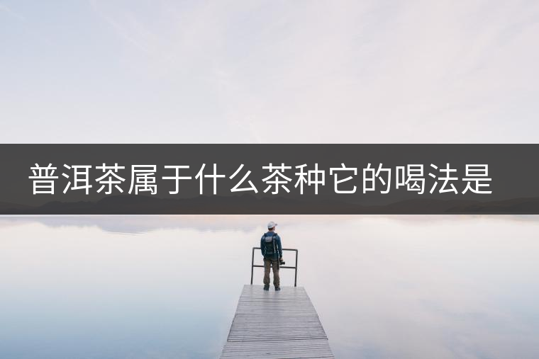 普洱茶屬于什么茶種它的喝法是怎么喝 普洱茶屬于什么茶種它的喝法是怎么喝
