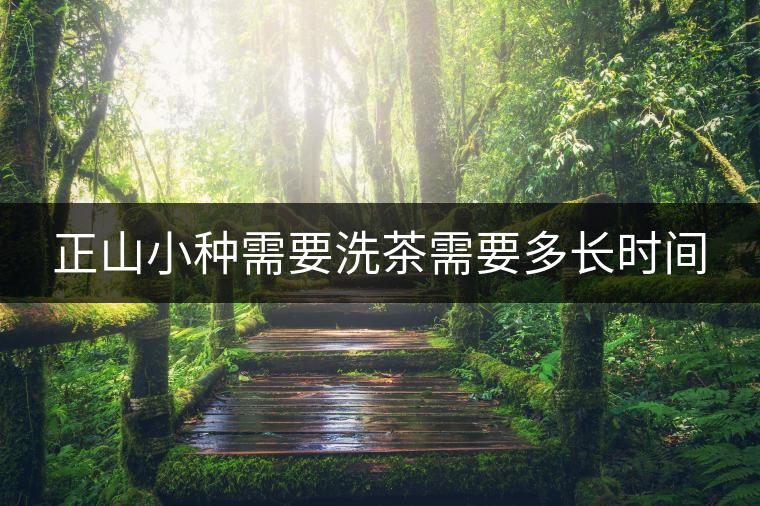 正山小種需要洗茶需要多長(zhǎng)時(shí)間 正山小種需要洗茶需要多長(zhǎng)時(shí)間