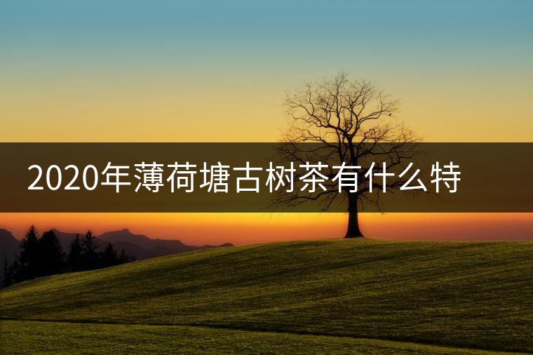 2020年薄荷塘古樹茶有什么特征？薄荷塘的價格及產(chǎn)量如何？-易武中聘號