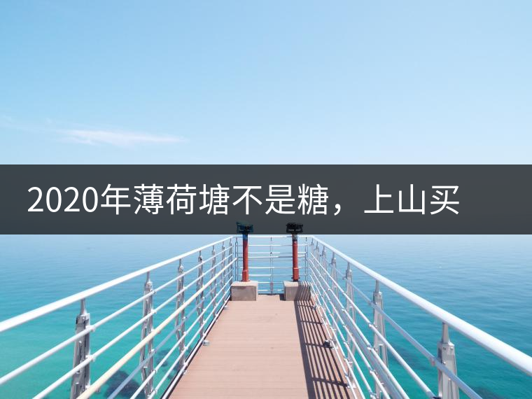 2020年薄荷塘不是糖，上山買茶除了帶鈔票還得搖號(hào)-易武中聘號(hào)