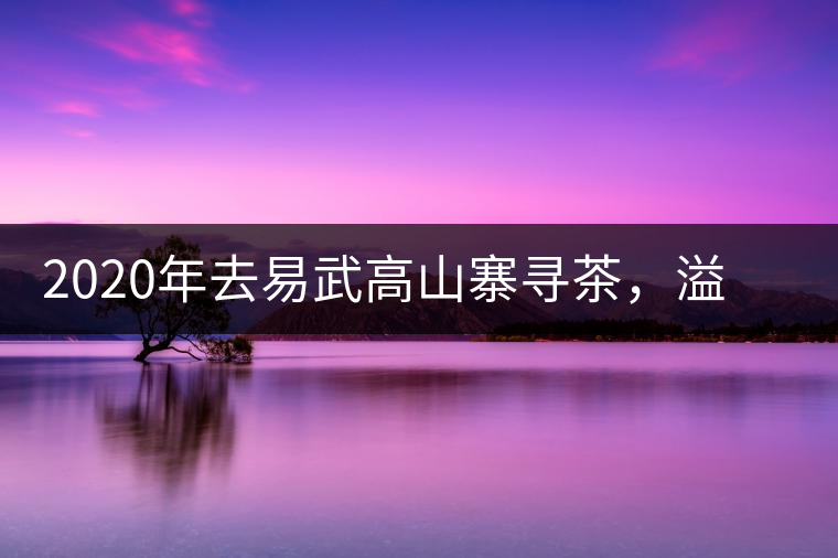 2020年去易武高山寨尋茶，溢滿茶香的古樹(shù)寨子-易武中聘號(hào)