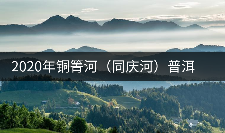 2020年銅箐河（同慶河）普洱茶，野味真難尋！-易武中聘號