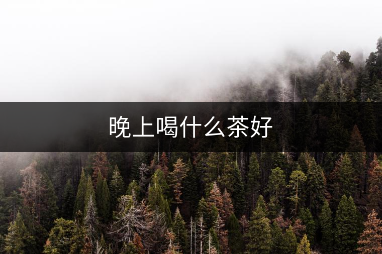 晚上喝什么茶好