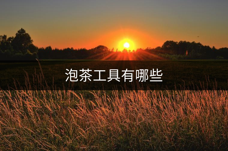 泡茶工具有哪些