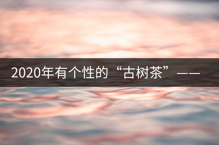 2020年有個(gè)性的“古樹(shù)茶”——一扇磨-易武中聘號(hào) 2020年有個(gè)性的“古樹(shù)茶”——一扇磨-易武中聘號(hào)