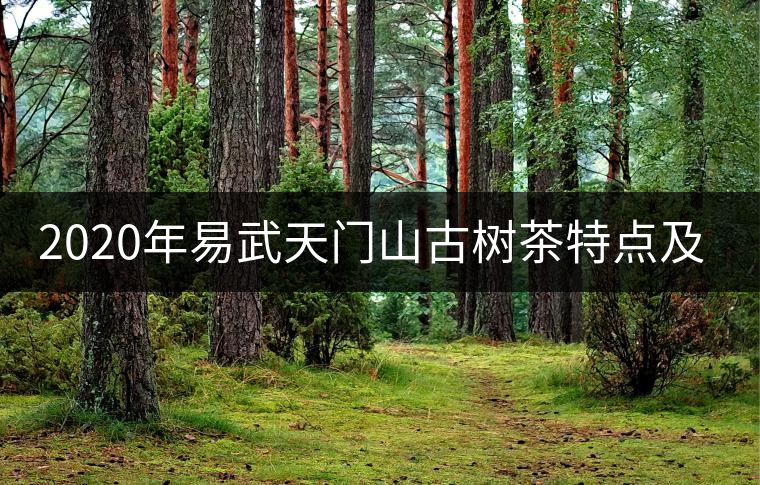 2020年易武天門山古樹茶特點(diǎn)及價格-易武中聘號