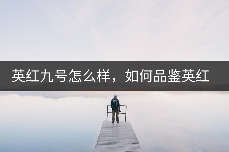 英紅九號怎么樣，如何品鑒英紅九號紅茶