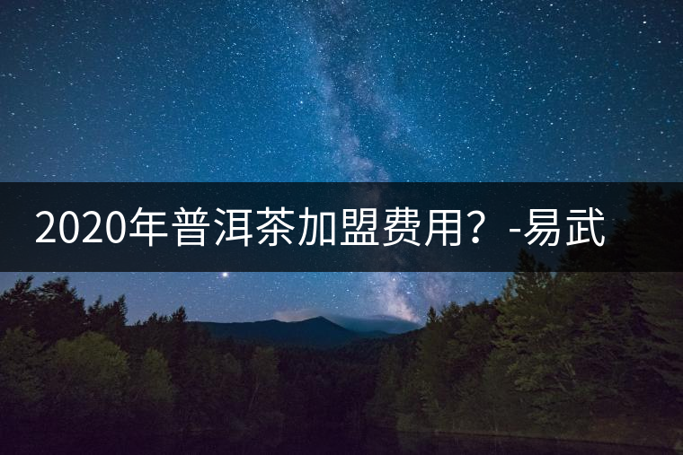 2020年普洱茶加盟費用？-易武中聘號