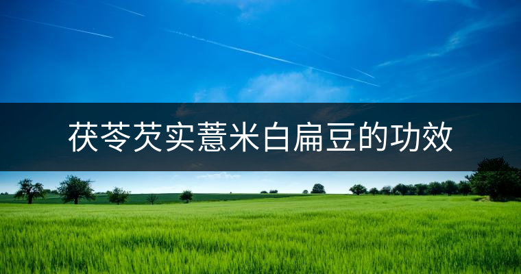 茯苓芡實(shí)薏米白扁豆的功效 茯苓芡實(shí)薏米白扁豆的功效