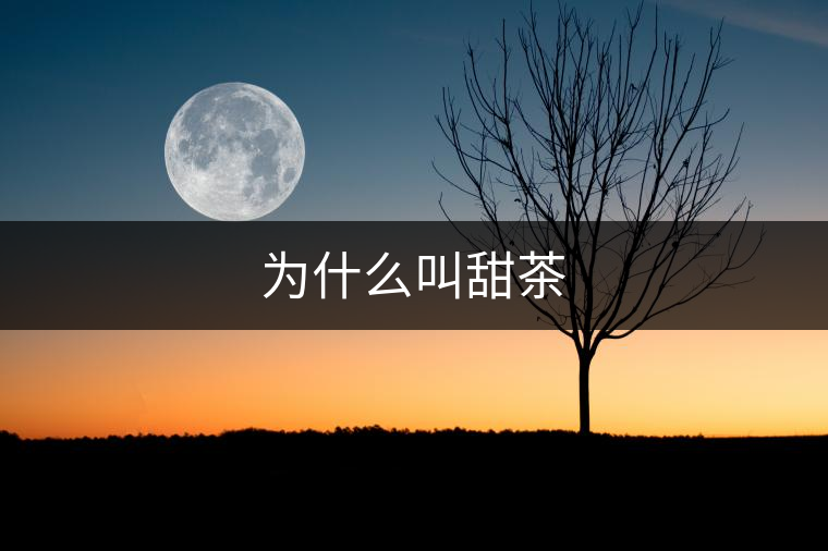 為什么叫甜茶 為什么叫甜茶