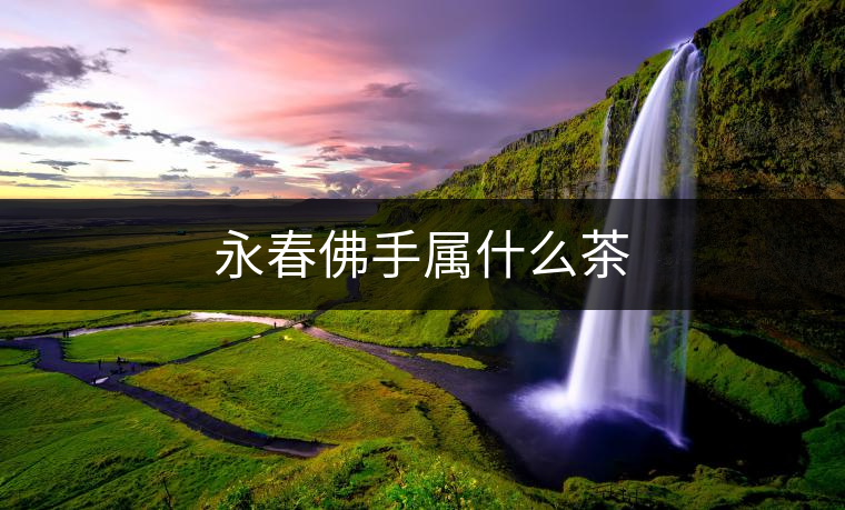 永春佛手屬什么茶