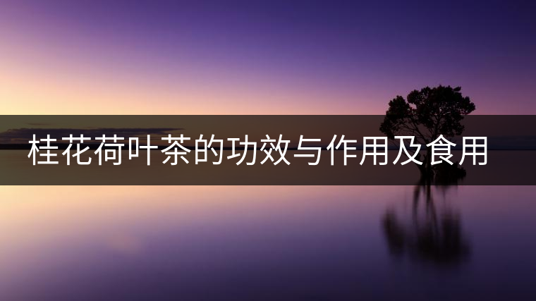 桂花荷葉茶的功效與作用及食用方法