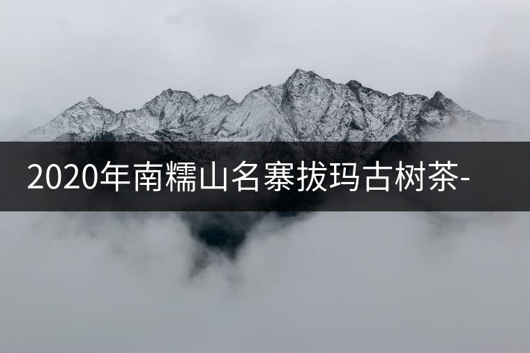 2020年南糯山名寨拔瑪古樹茶-易武中聘號(hào)