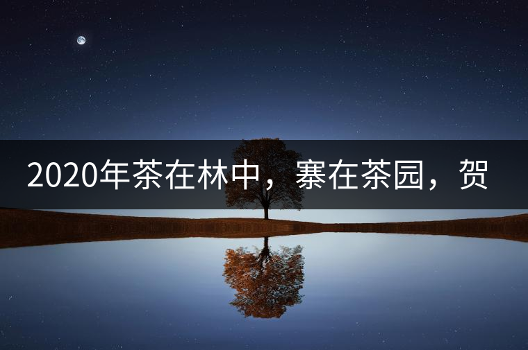 2020年茶在林中，寨在茶園，賀開古樹茶-易武中聘號