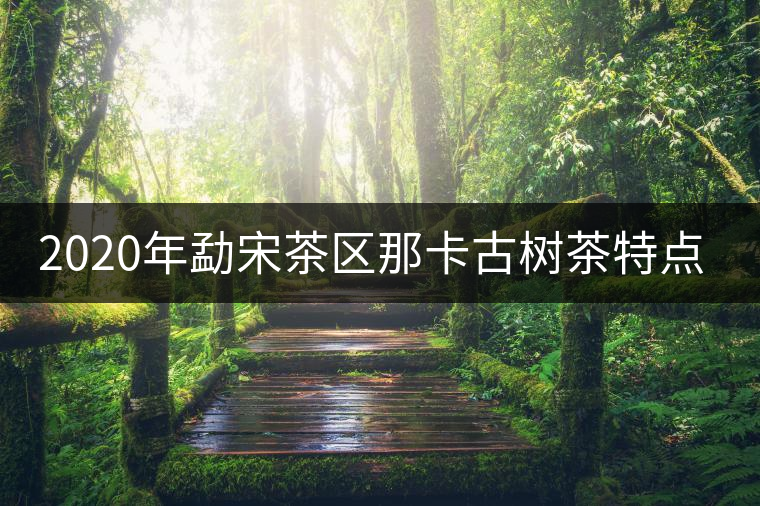 2020年勐宋茶區(qū)那卡古樹茶特點(diǎn)-易武中聘號(hào) 2020年勐宋茶區(qū)那卡古樹茶特點(diǎn)-易武中聘號(hào)