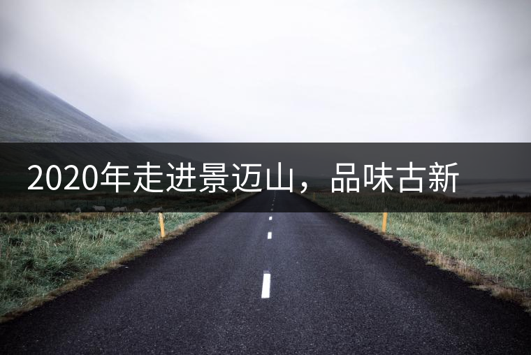 2020年走進(jìn)景邁山，品味古新六大茶山古樹茶之韻-易武中聘號