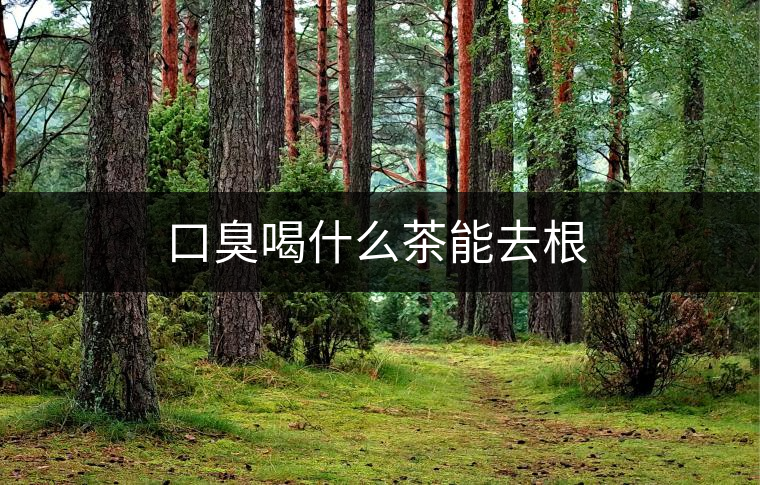 口臭喝什么茶能去根