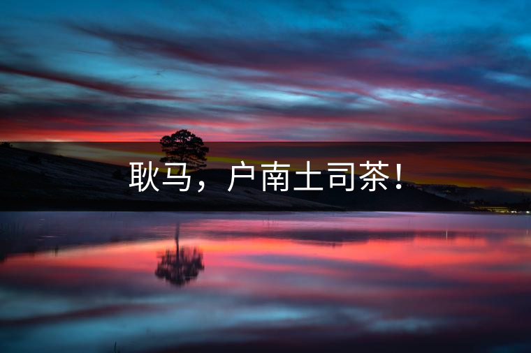 耿馬，戶南土司茶！