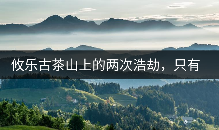 攸樂古茶山上的兩次浩劫，只有絕少部分的茶人解內(nèi)情
