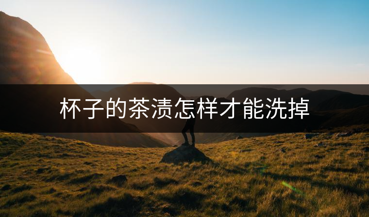 杯子的茶漬怎樣才能洗掉