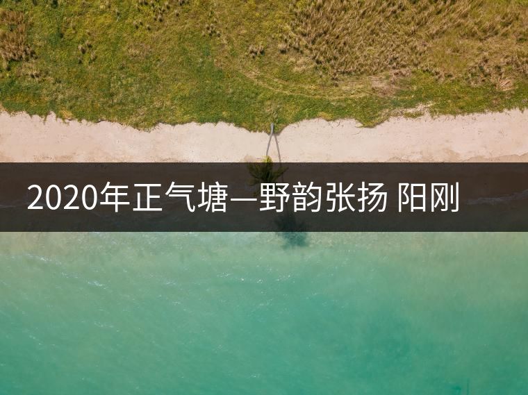 2020年正氣塘—野韻張揚(yáng) 陽剛豪邁-易武中聘號