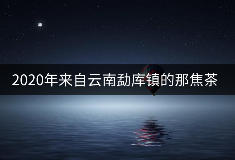 2020年來自云南勐庫(kù)鎮(zhèn)的那焦茶-易武中聘號(hào) 2020年來自云南勐庫(kù)鎮(zhèn)的那焦茶-易武中聘號(hào)