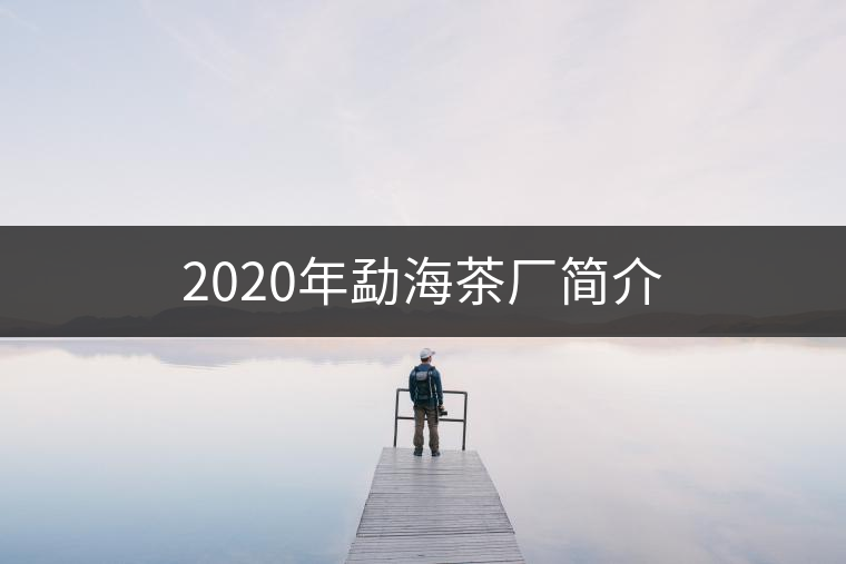 2020年勐海茶廠簡介 2020年勐海茶廠簡介