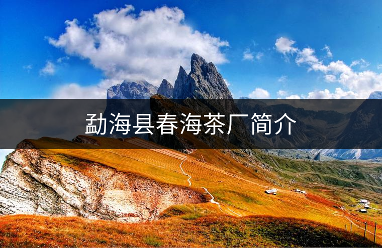 勐?？h春海茶廠簡介