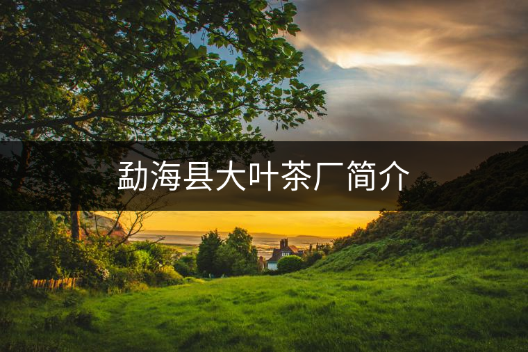 勐海縣大葉茶廠簡(jiǎn)介 勐??h大葉茶廠簡(jiǎn)介