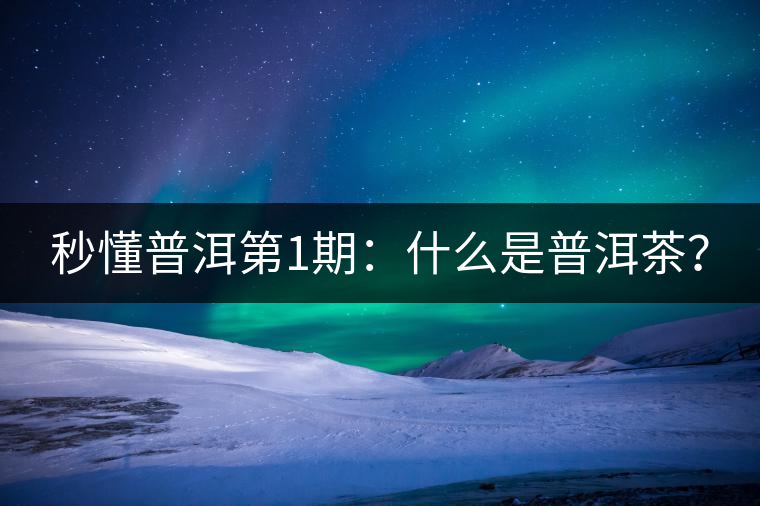 秒懂普洱第1期：什么是普洱茶？