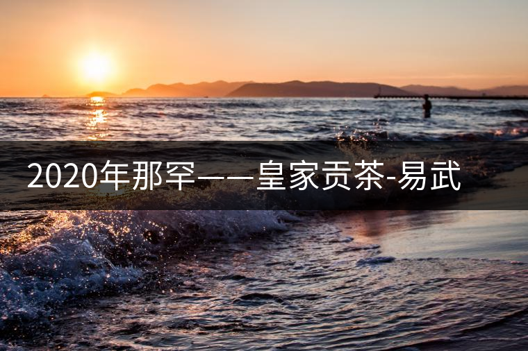 2020年那罕——皇家貢茶-易武中聘號(hào)