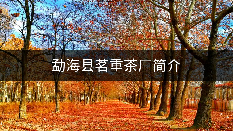 勐?？h茗重茶廠簡介