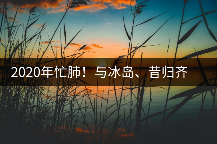 2020年忙肺！與冰島、昔歸齊名的普洱茶，到底是什么味道？-易武中聘號(hào)