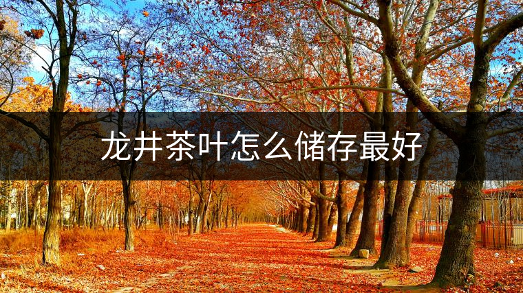 龍井茶葉怎么儲(chǔ)存最好 龍井茶葉怎么儲(chǔ)存最好
