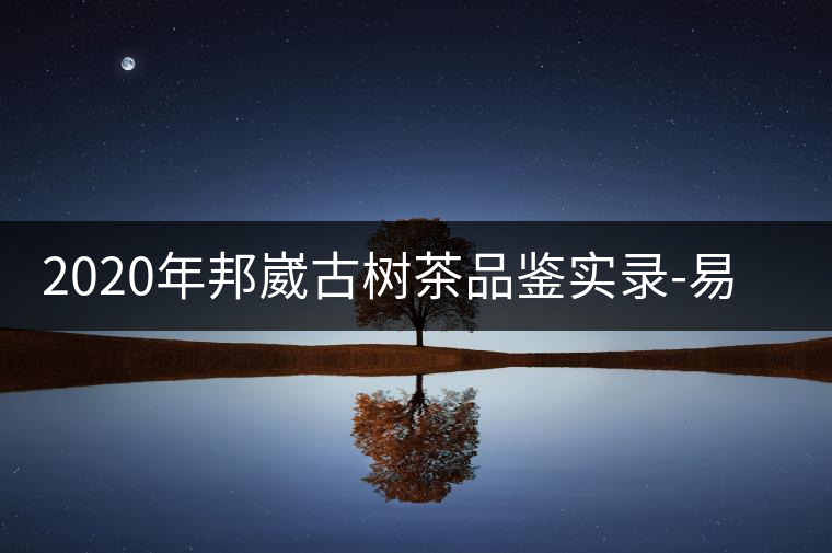 2020年邦崴古樹(shù)茶品鑒實(shí)錄-易武中聘號(hào) 2020年邦崴古樹(shù)茶品鑒實(shí)錄-易武中聘號(hào)