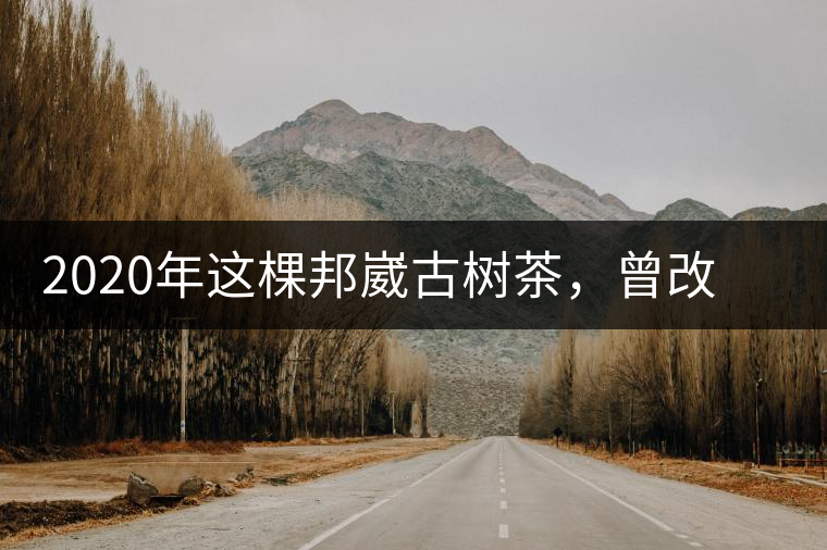 2020年這棵邦崴古樹(shù)茶，曾改寫普洱茶歷史！-易武中聘號(hào)