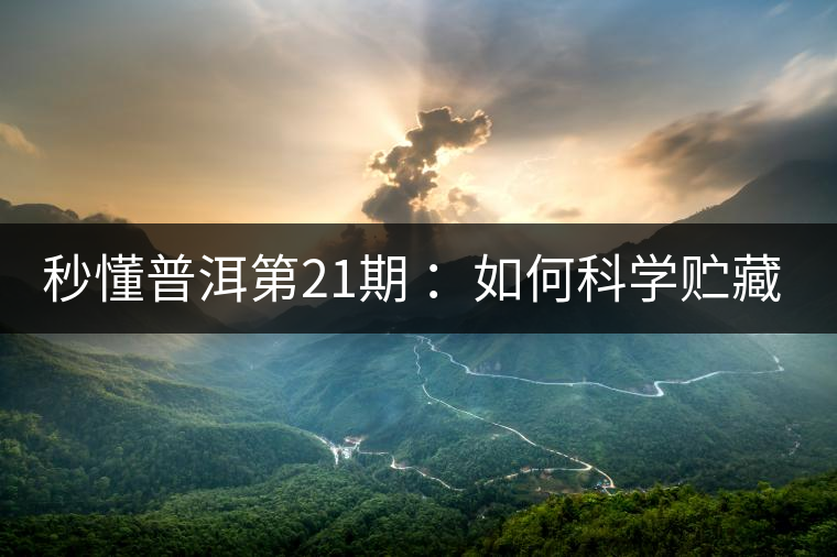 秒懂普洱第21期 ：如何科學貯藏普洱茶？