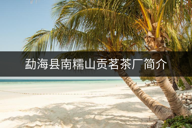 勐海縣南糯山貢茗茶廠簡介 勐海縣南糯山貢茗茶廠簡介