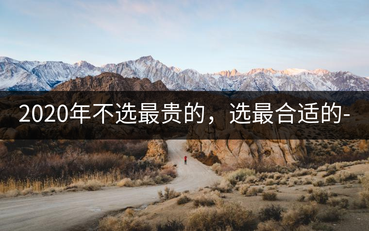 2020年不選最貴的，選最合適的-無(wú)量山古樹茶 |-易武中聘號(hào)