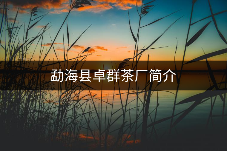 勐??h卓群茶廠簡(jiǎn)介 勐海縣卓群茶廠簡(jiǎn)介